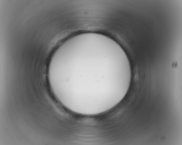 X0000113080685200909182050