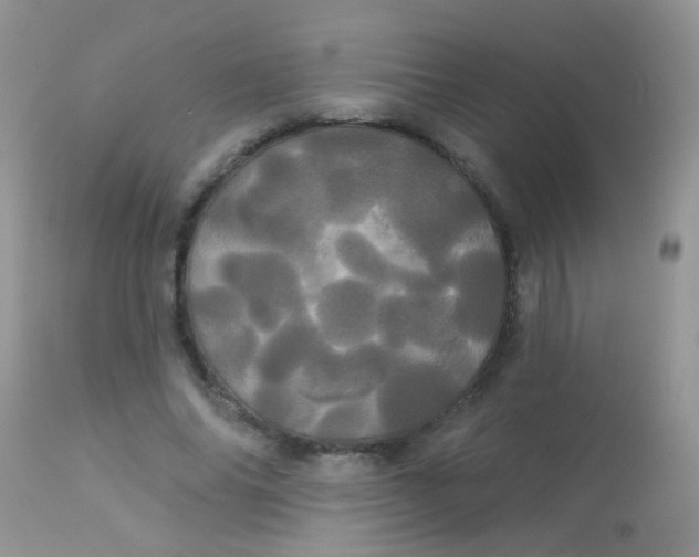 X0000113080686200909182050