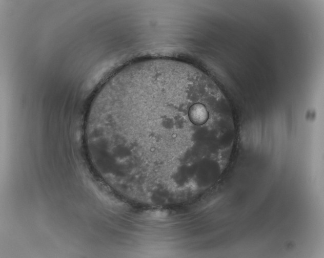 X0000113080687200909182050