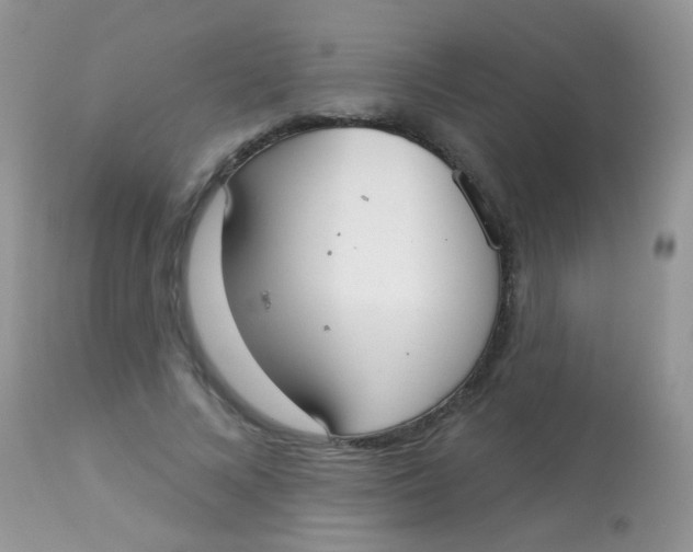 X0000113080688200909182050