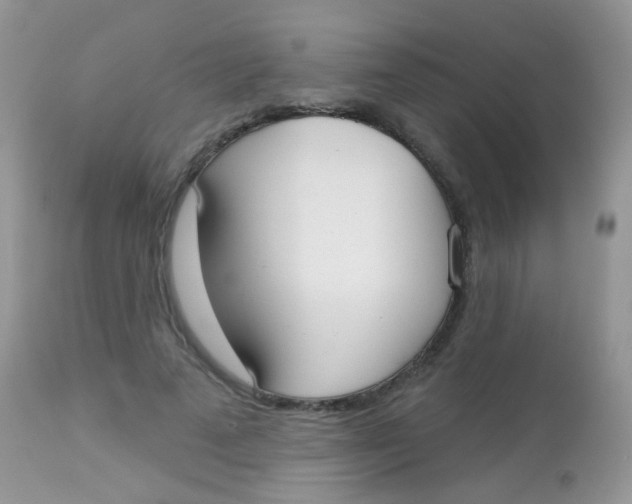 X0000113080689200909182050