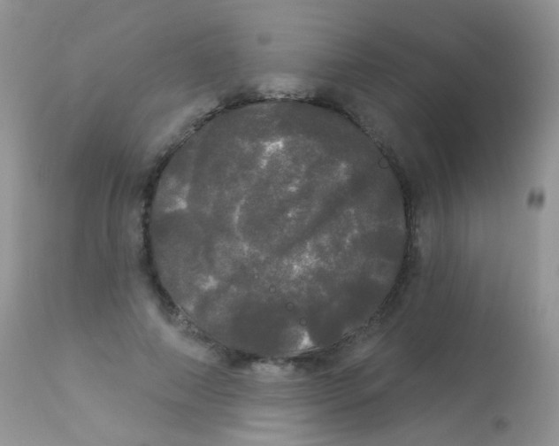 X0000113080690200909182050