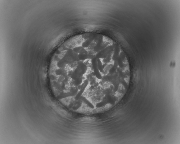 X0000113080691200909182050