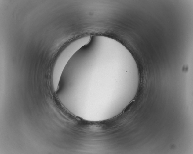 X0000113080692200909182050