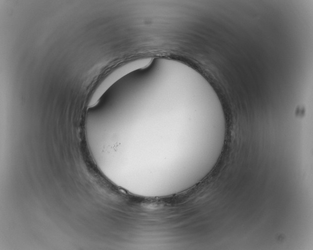 X0000113080693200909182050