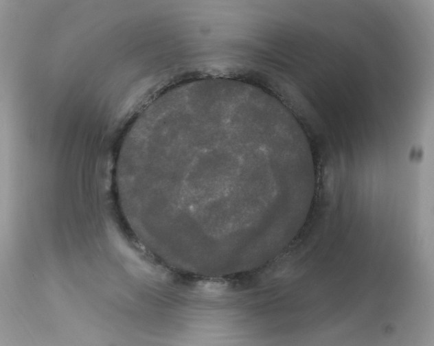 X0000113080694200909182050