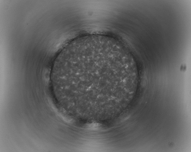 X0000113080695200909182050