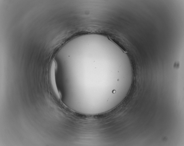 X0000113080696200909182050