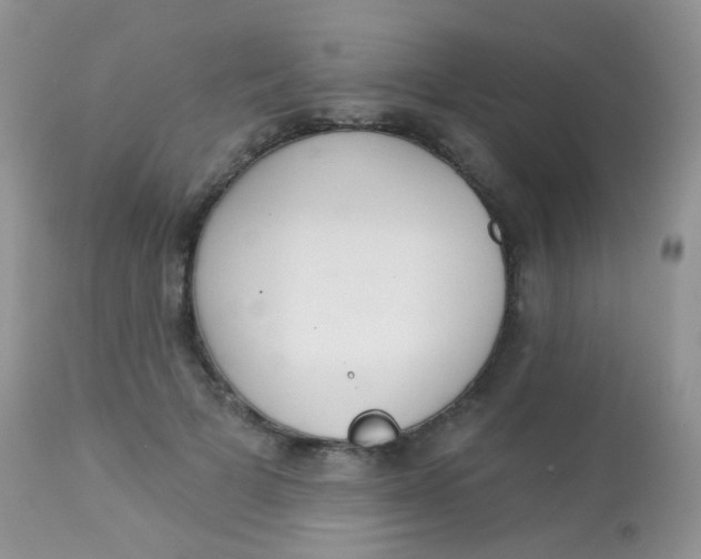 X0000113080697200909182050