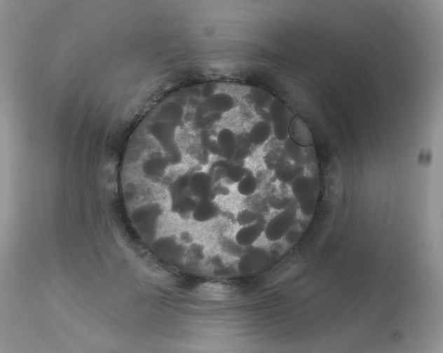 X0000113080699200909182050