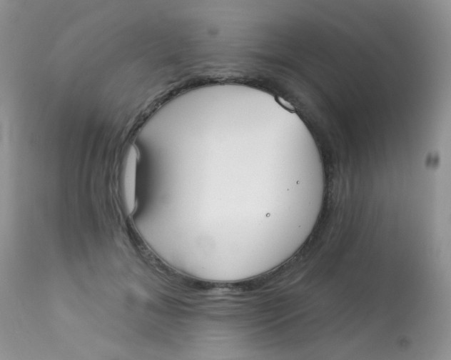 X0000113080700200909182050