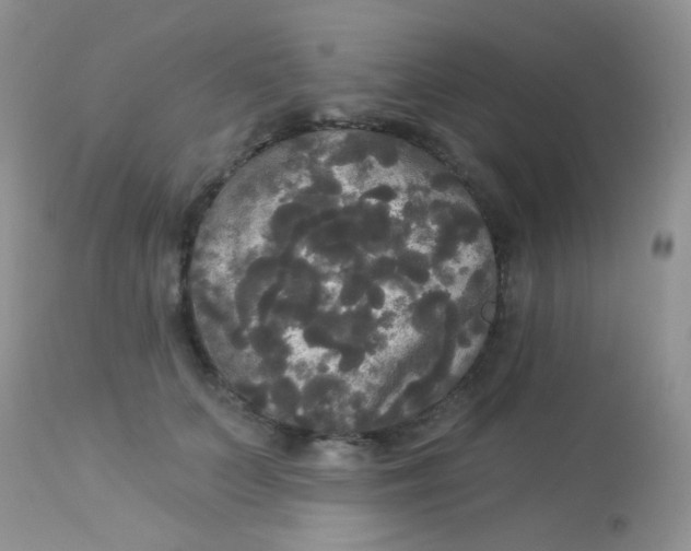 X0000113080703200909182050