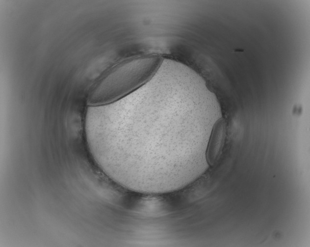 X0000113080704200909182049