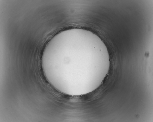 X0000113080705200909182049