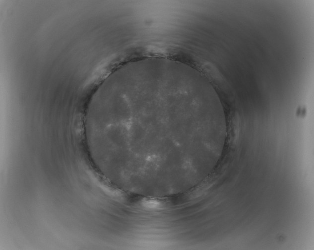 X0000113080706200909182049