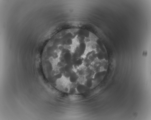 X0000113080707200909182049