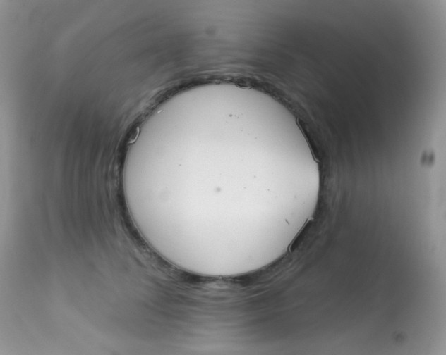 X0000113080708200909182049