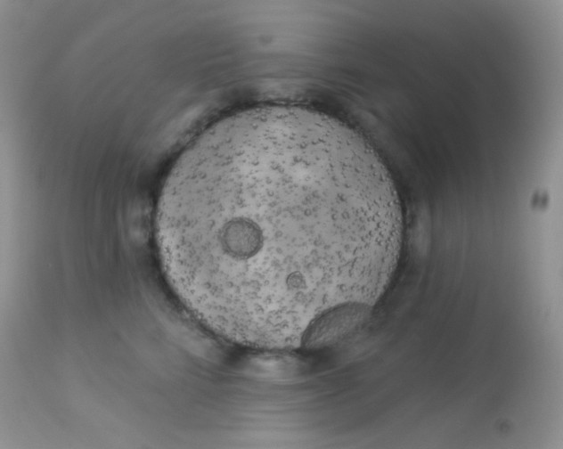 X0000113080712200909182049