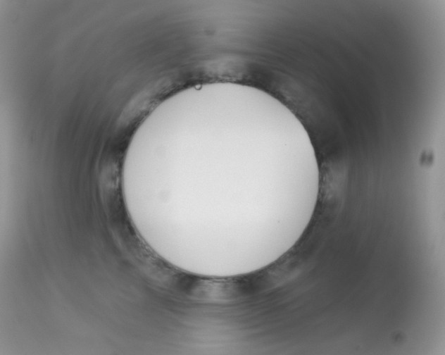 X0000113080713200909182049