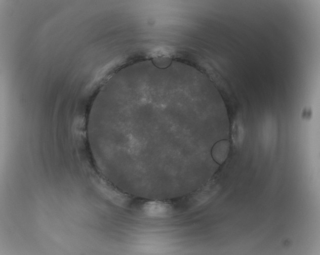 X0000113080714200909182049