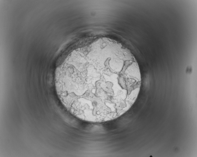 X0000113080715200909182049