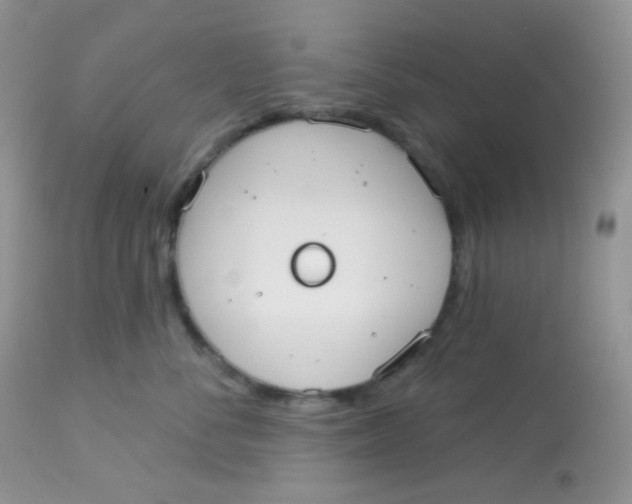 X0000113080716200909182049