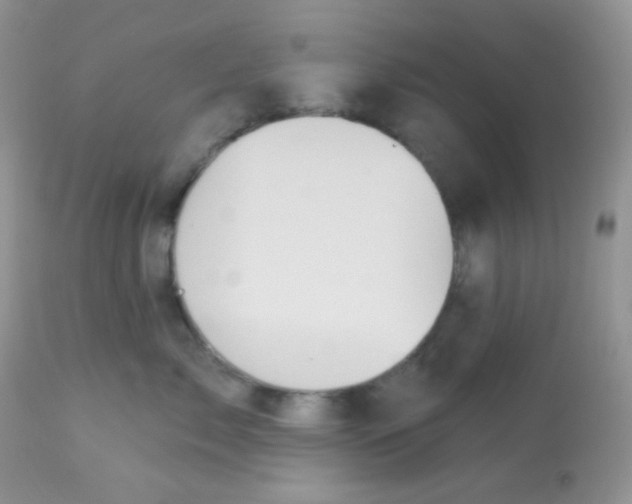 X0000113080717200909182049