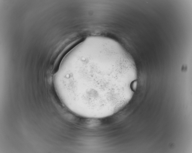 X0000113080719200909182049