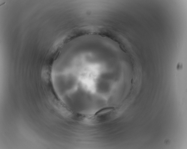 X0000113080720200909182049