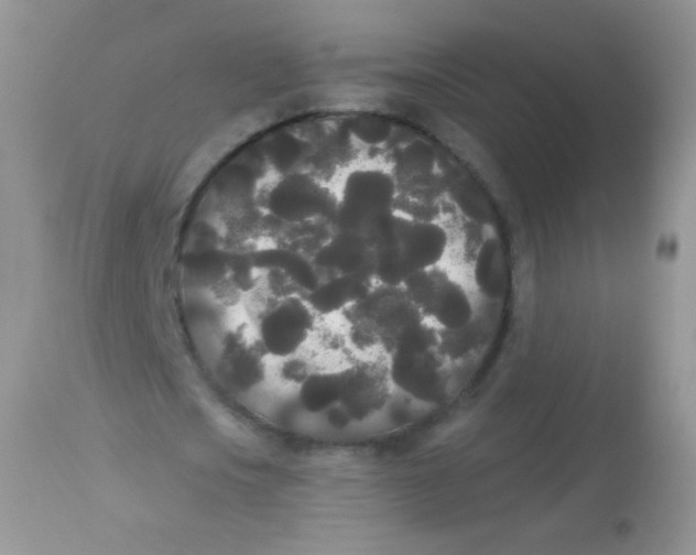 X0000113080721200909182048