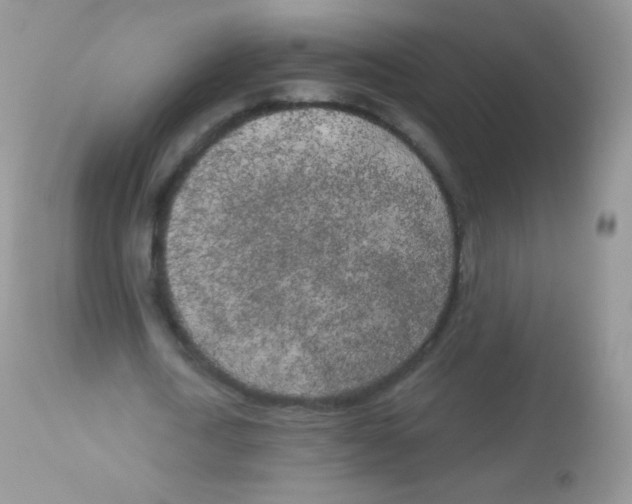 X0000113080722200909182048