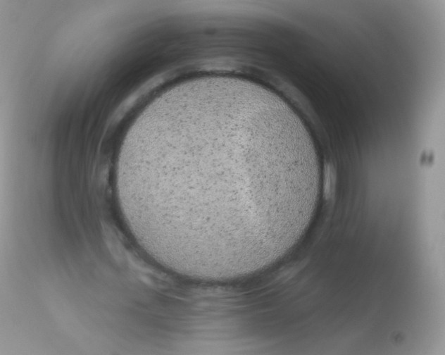 X0000113080723200909182048