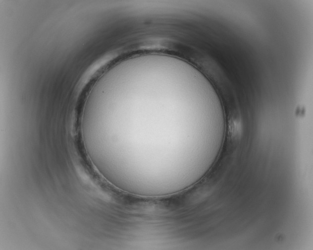 X0000113080724200909182048