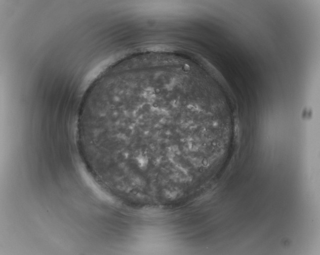 X0000113080725200909182049