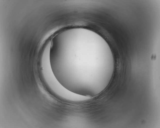 X0000113080726200909182049