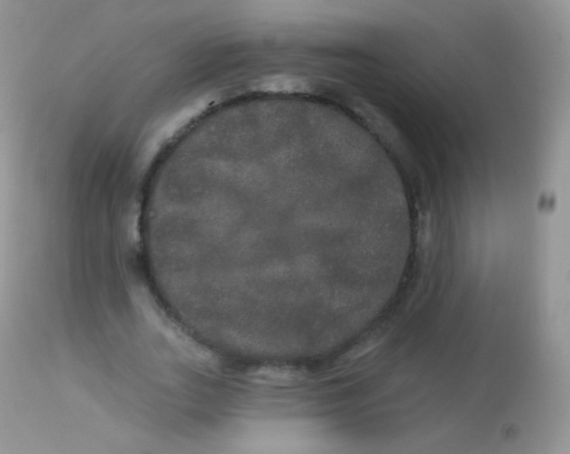 X0000113080727200909182049