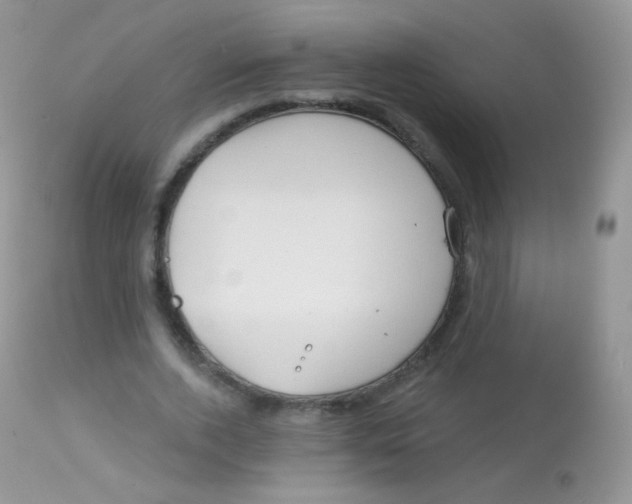 X0000113080728200909182049