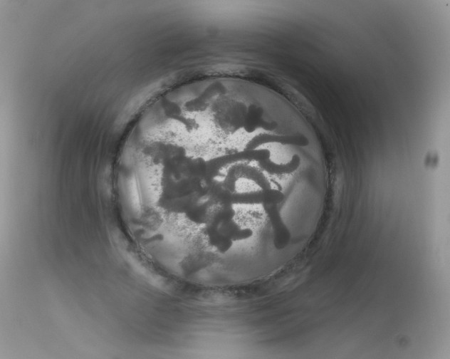 X0000113080729200909182049