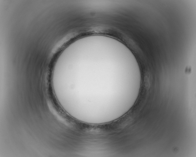 X0000113080730200909182049