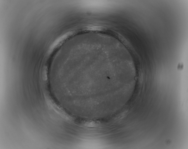 X0000113080731200909182049