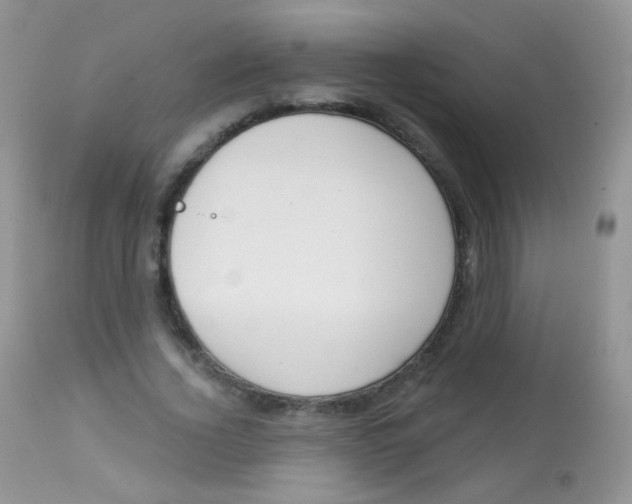 X0000113080732200909182049