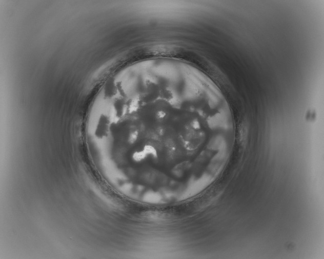 X0000113080733200909182049