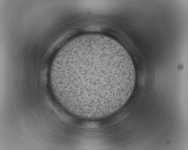 X0000113080735200909182049