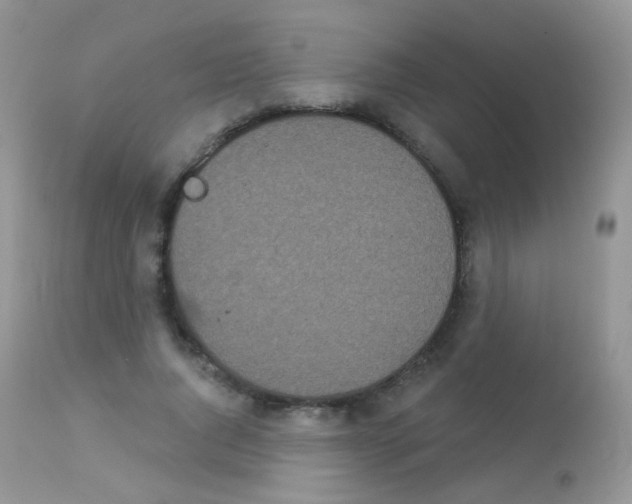 X0000113080736200909182049