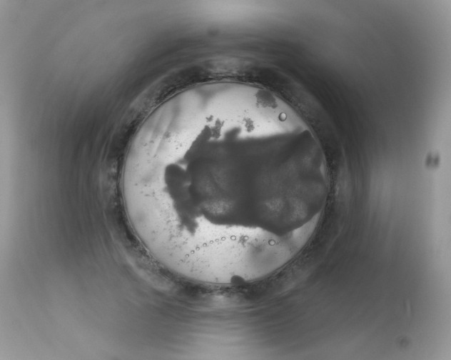 X0000113080737200909182049