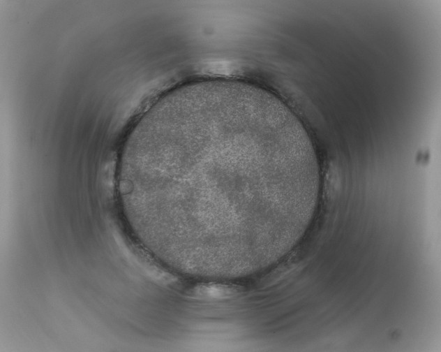 X0000113080739200909182049