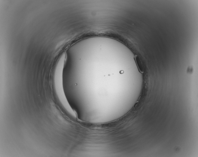 X0000113080740200909182049