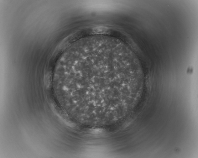 X0000113080741200909182049