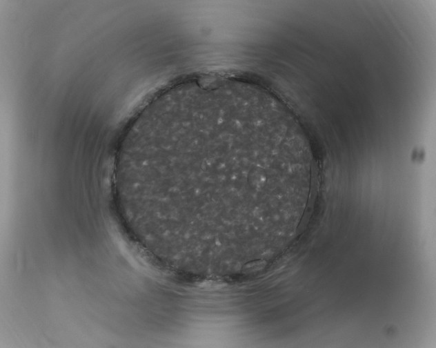 X0000113080742200909182049