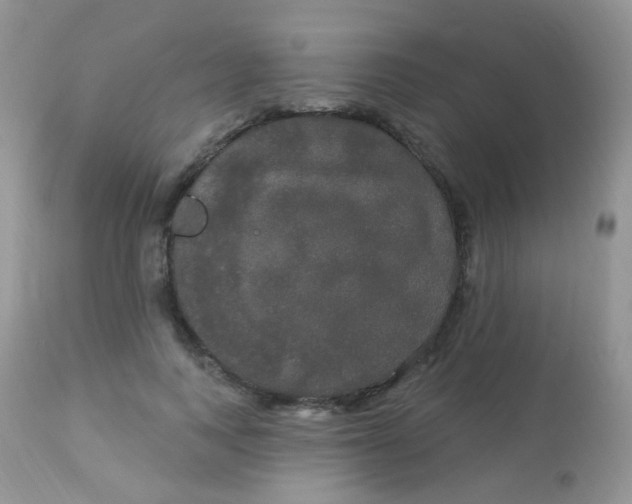 X0000113080743200909182049